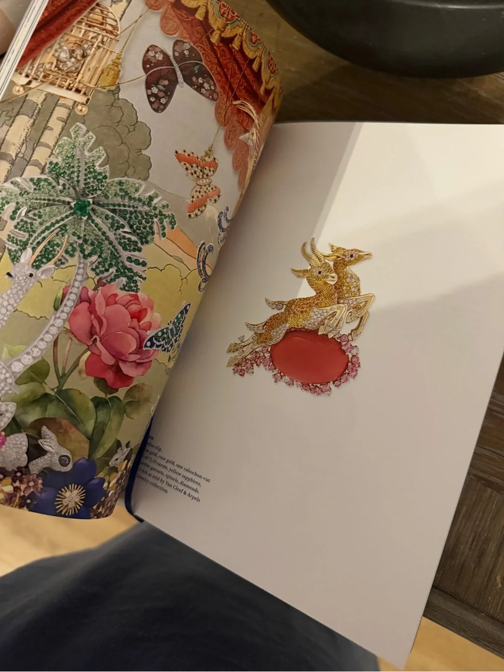 Van Cleef & Arpels White Book with Blue Title and Red Illustration